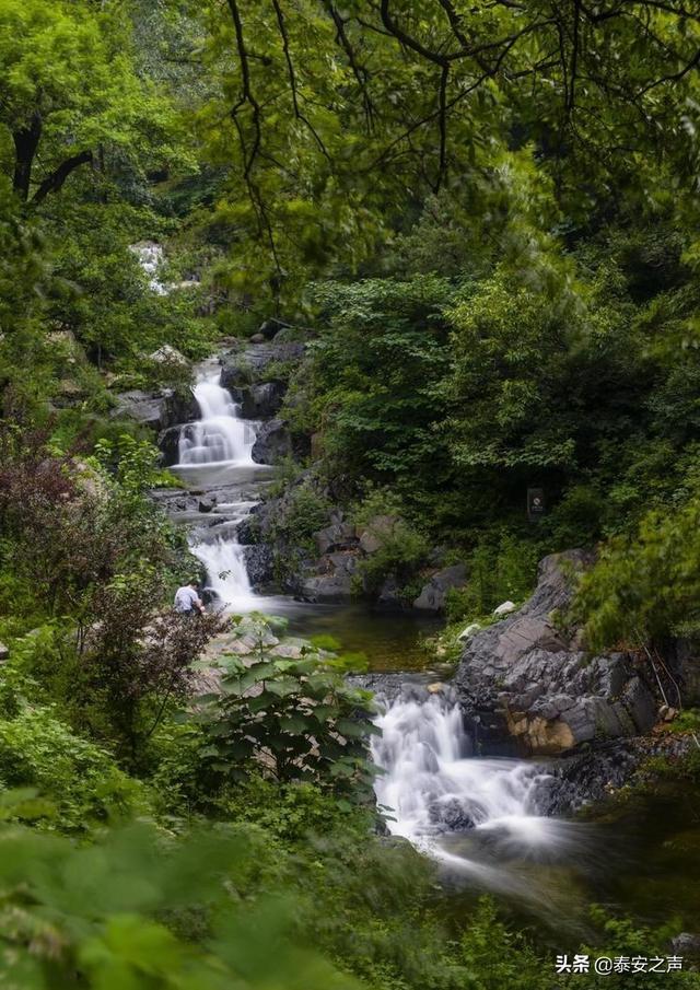 虫虫助手下载